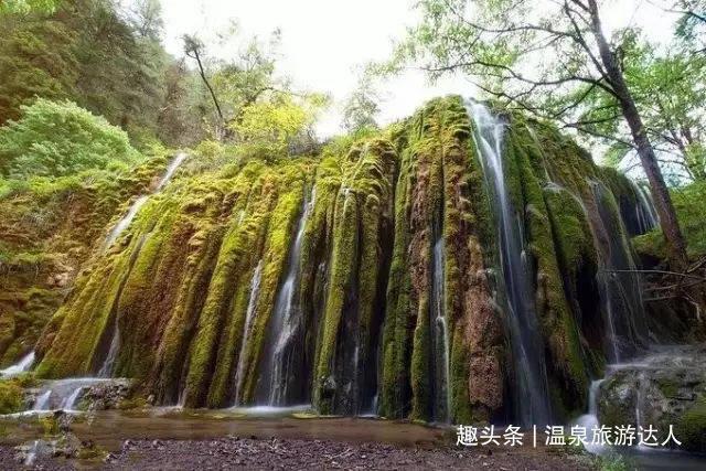 救援受困的萌兔