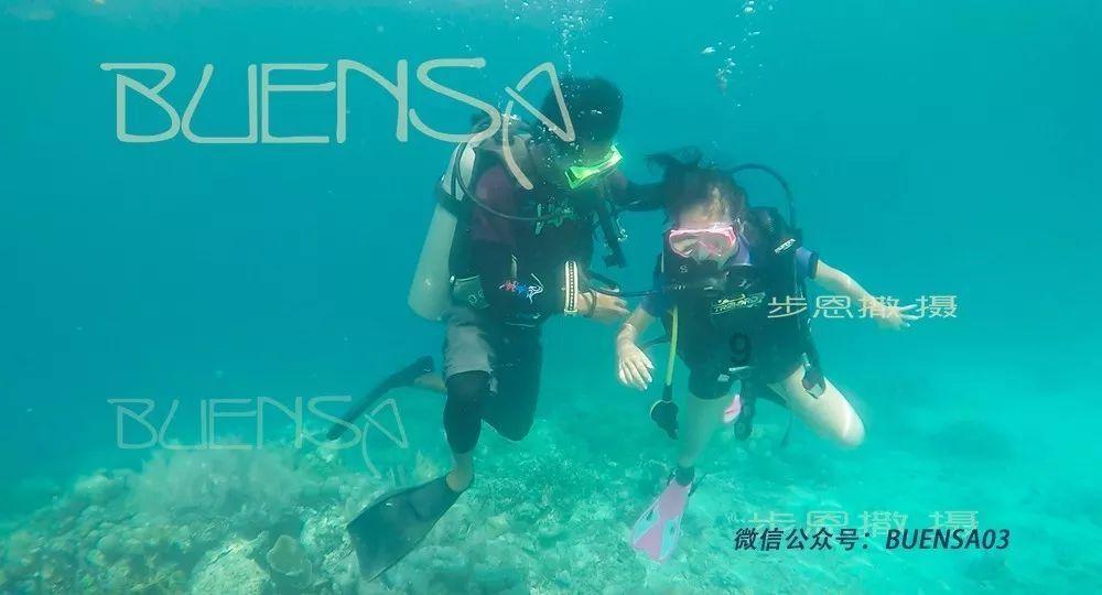 小企鹅逃生