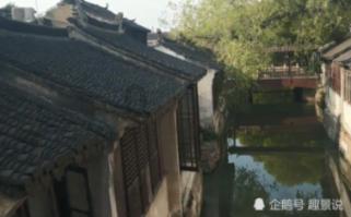 僵尸猎人赏金大赛