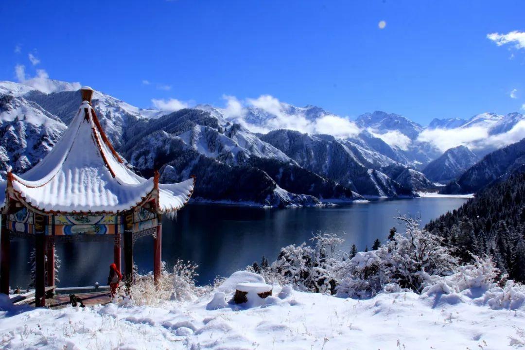 可疑的情况